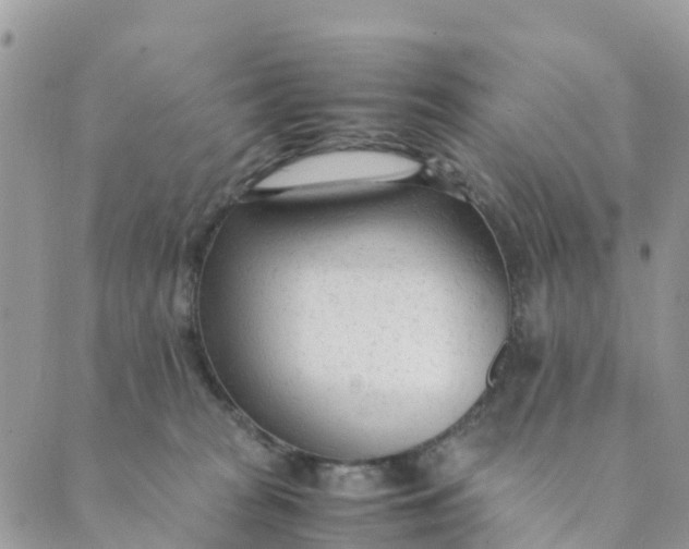 X0000089360277200707061057