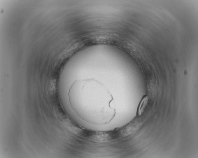 X0000089360278200707061057