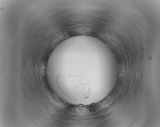 X0000089360279200707061057