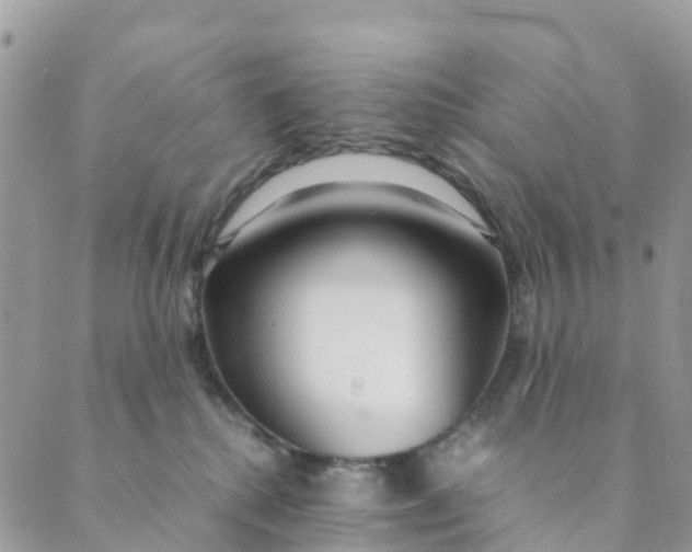 X0000089360280200707061057