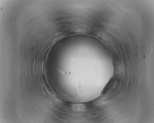 X0000089360281200707061057