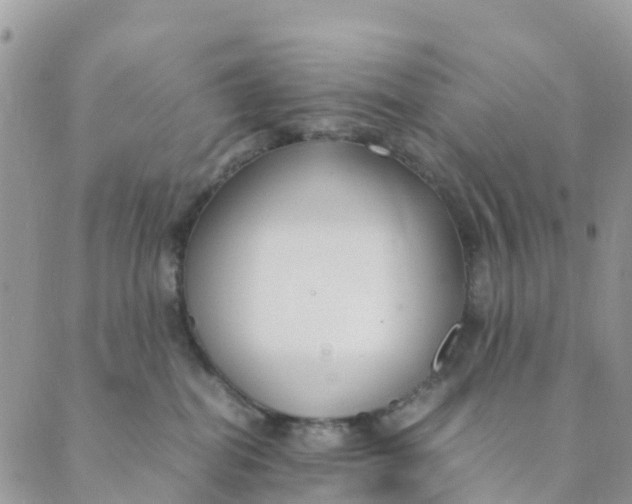 X0000089360282200707061057