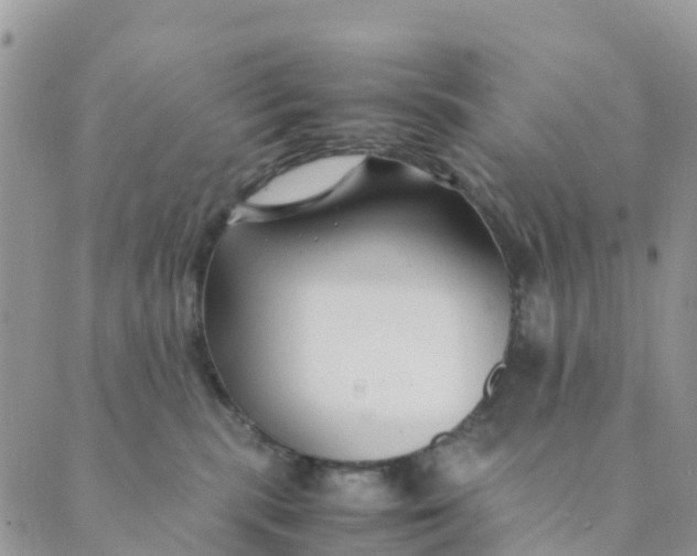 X0000089360283200707061057