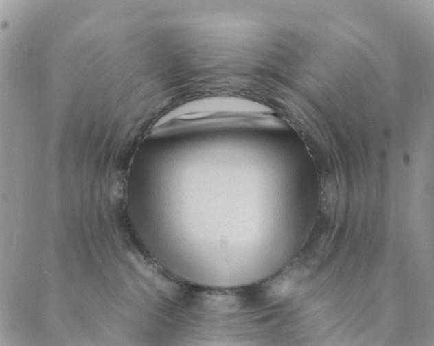 X0000089360284200707061057