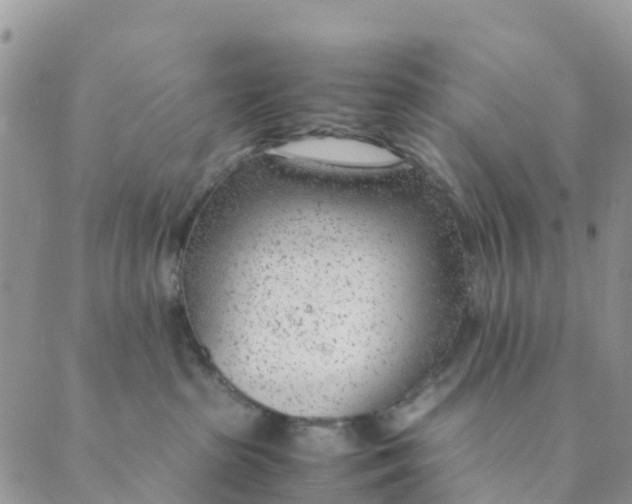 X0000089360285200707061057