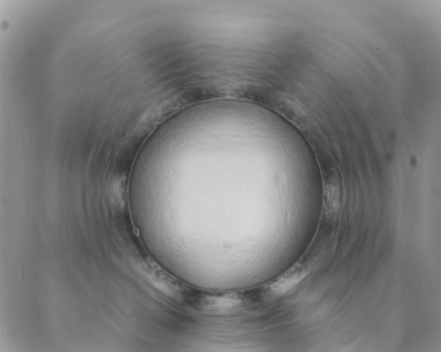 X0000089360286200707061057