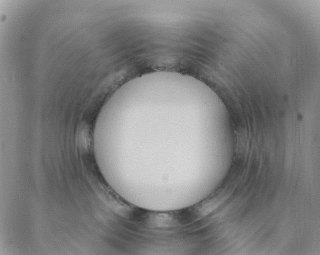 X0000089360287200707061057