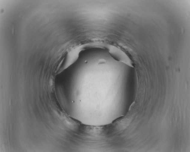 X0000089360288200707061057