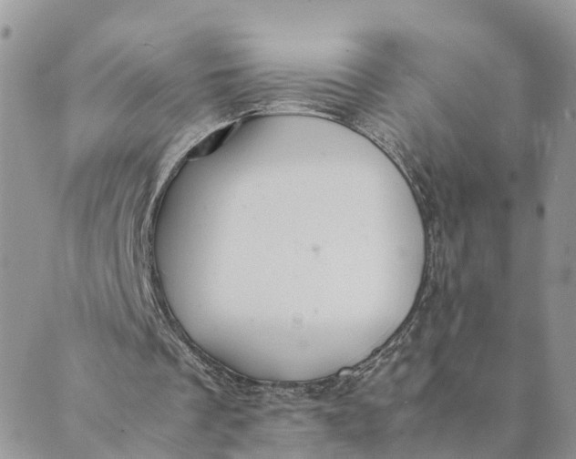 X0000089360289200707061056