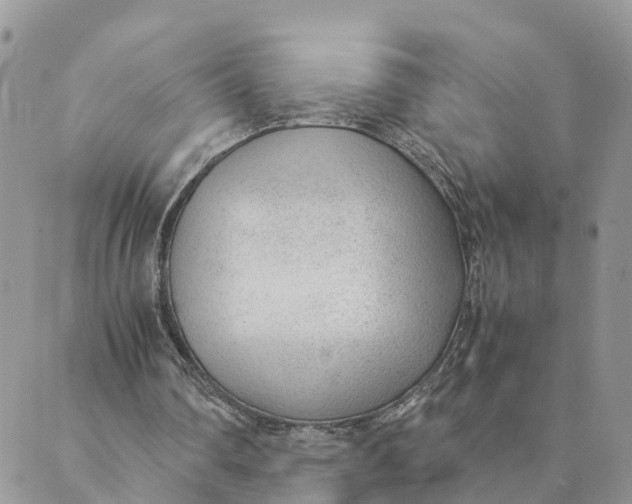 X0000089360290200707061056