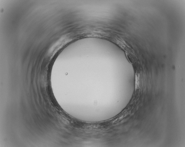 X0000089360291200707061056