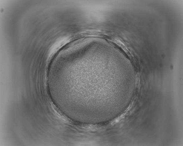 X0000089360293200707061056