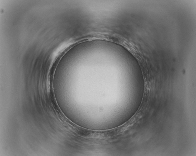 X0000089360294200707061056