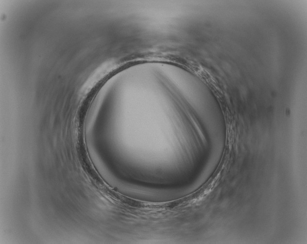 X0000089360295200707061056