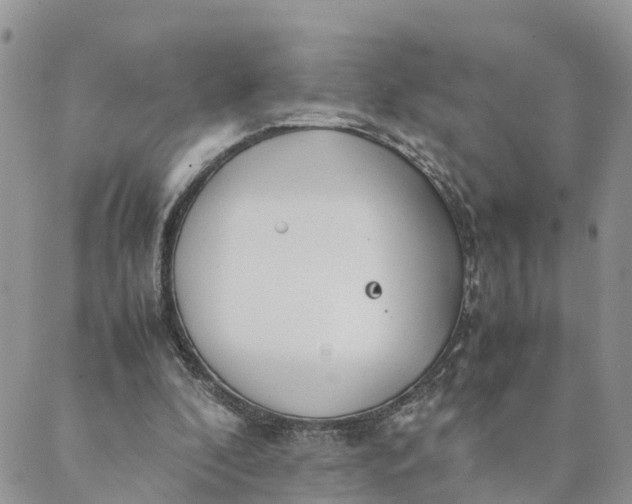 X0000089360296200707061056