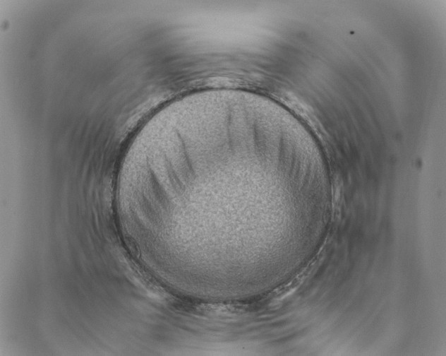 X0000089360297200707061056