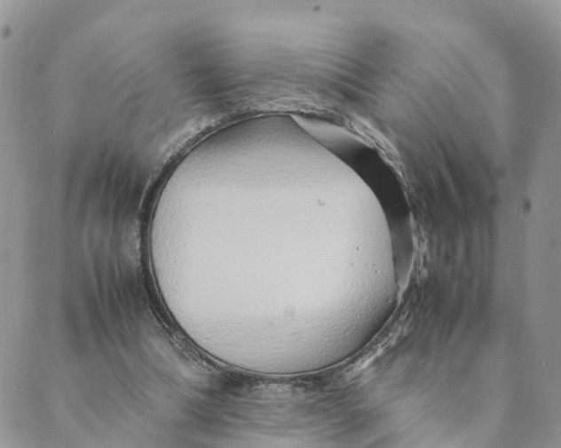 X0000089360298200707061056