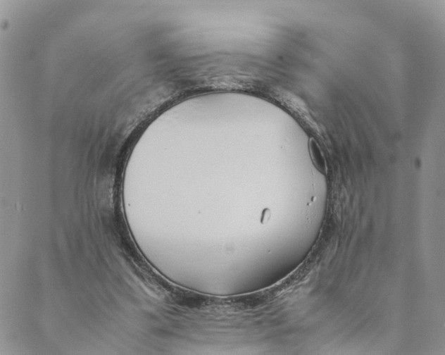 X0000089360299200707061056