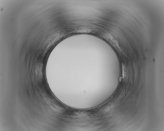 X0000089360300200707061056