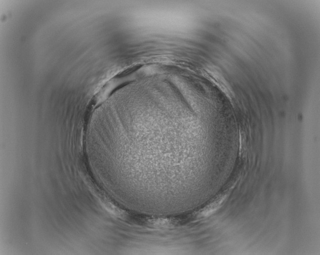 X0000089360301200707061056