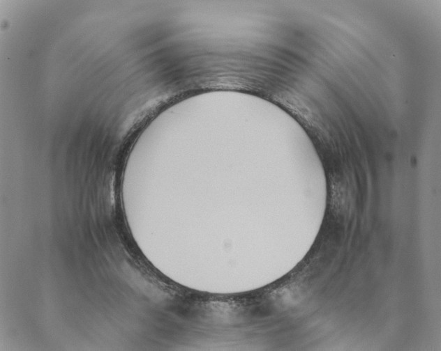 X0000089360302200707061056