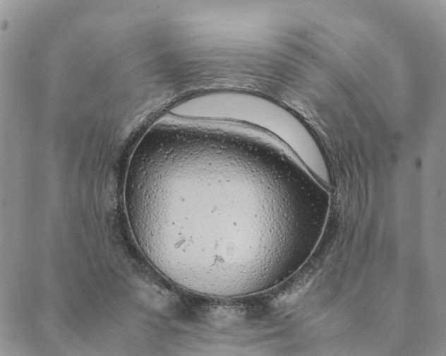 X0000089360303200707061056