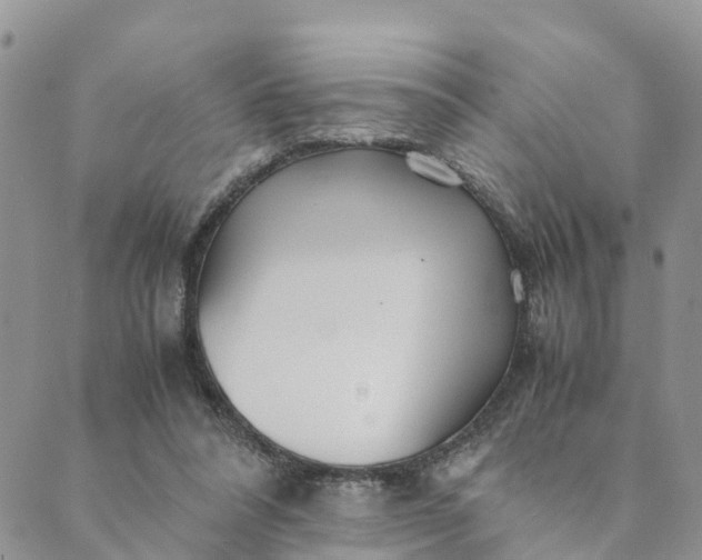 X0000089360304200707061056