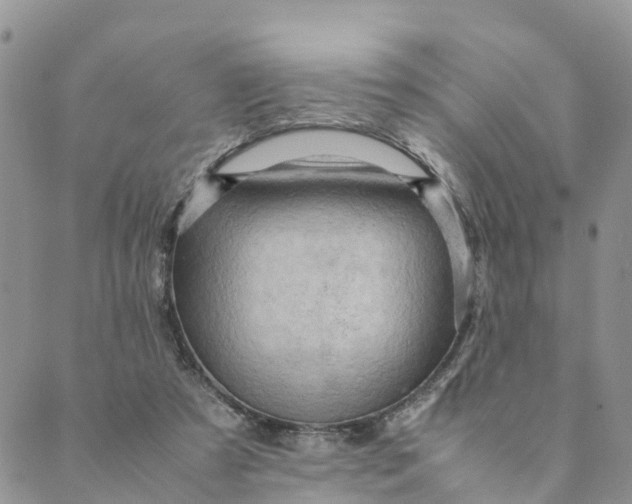 X0000089360305200707061056