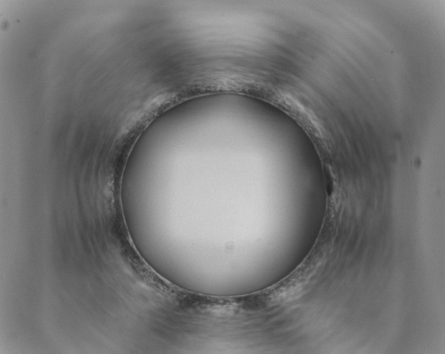 X0000089360306200707061056