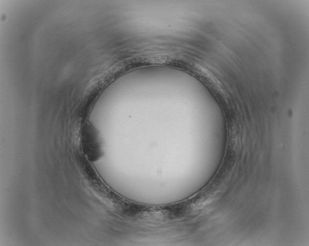 X0000089360307200707061056