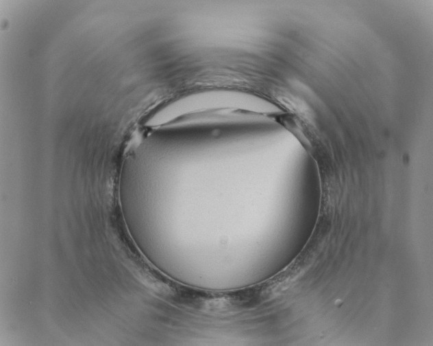 X0000089360309200707061056