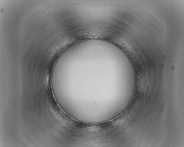 X0000089360310200707061056