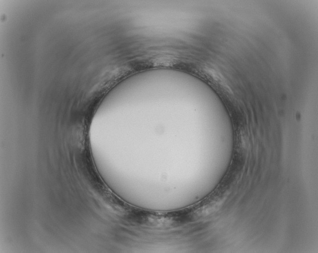 X0000089360311200707061056