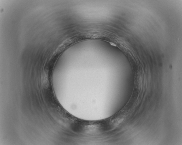 X0000089360312200707061056