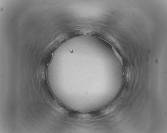 X0000089360313200707061056