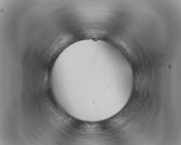 X0000089360314200707061056