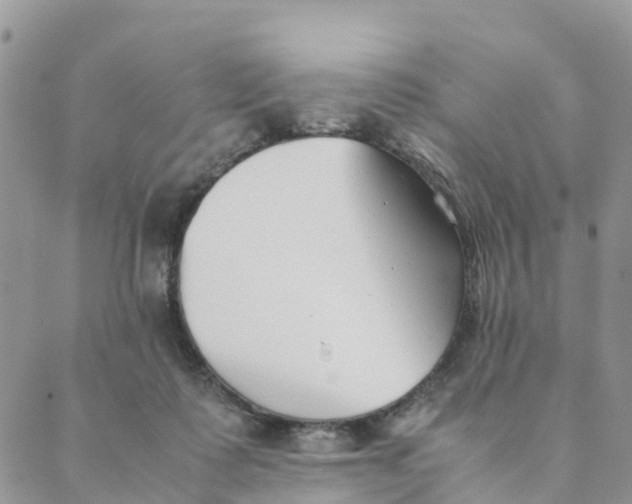 X0000089360315200707061056