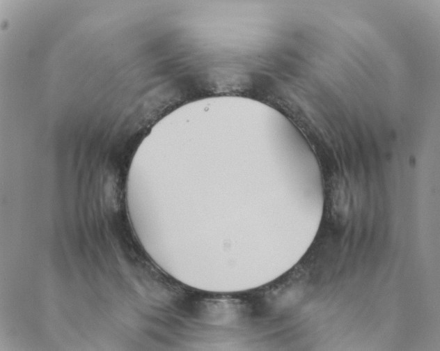 X0000089360316200707061056