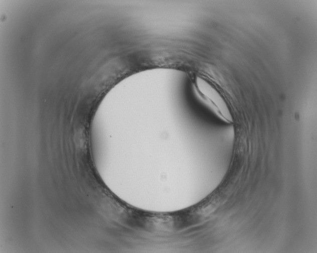 X0000089360317200707061056