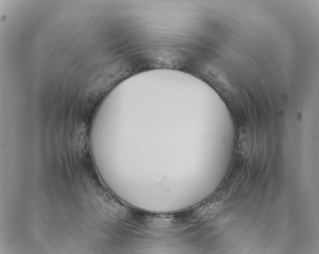 X0000089360318200707061056