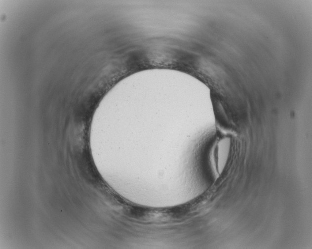 X0000089360319200707061056