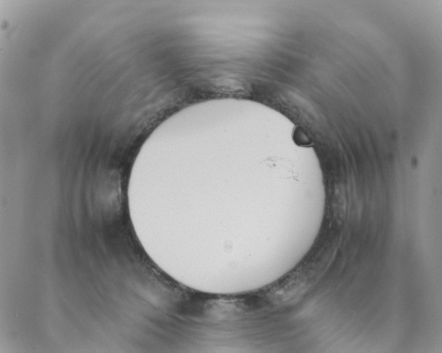 X0000089360320200707061056