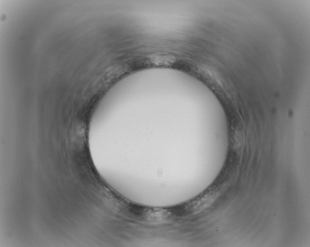 X0000089360321200707061056