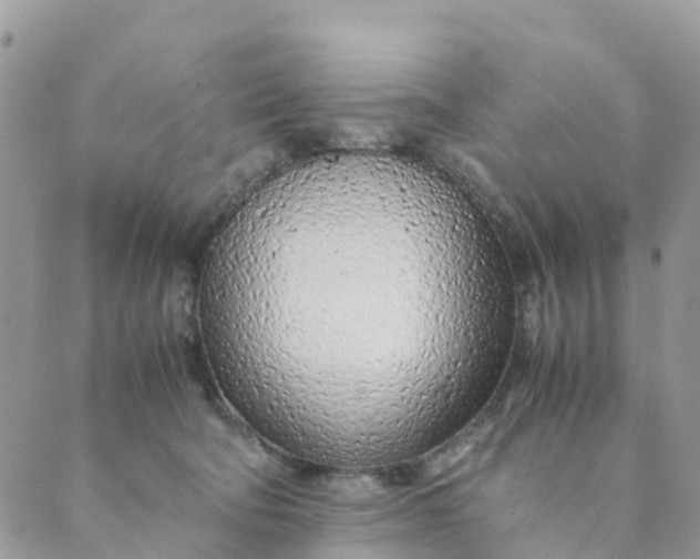 X0000089360322200707061056