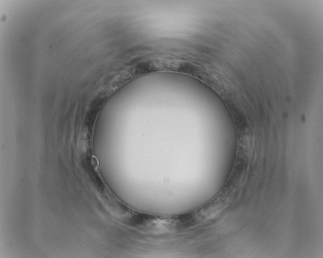 X0000089360323200707061056