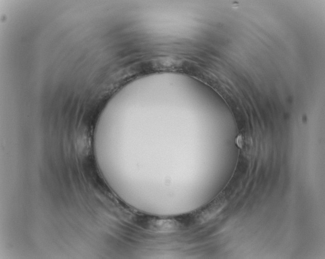 X0000089360324200707061056