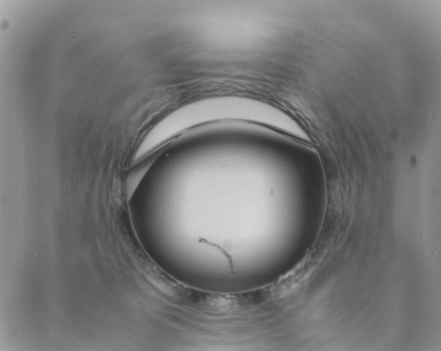 X0000089360325200707061056