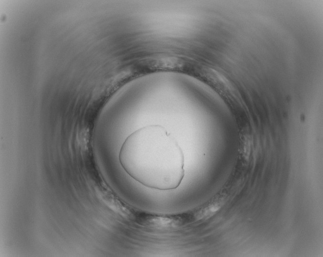 X0000089360326200707061056