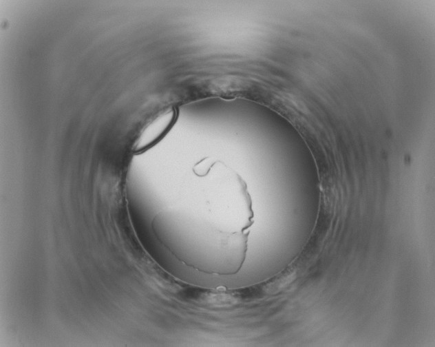 X0000089360327200707061056