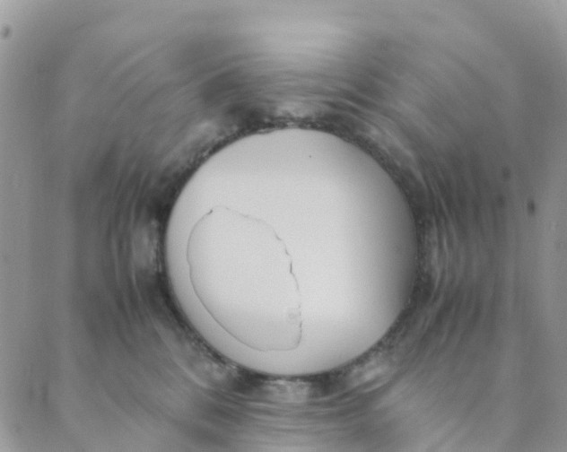 X0000089360328200707061055